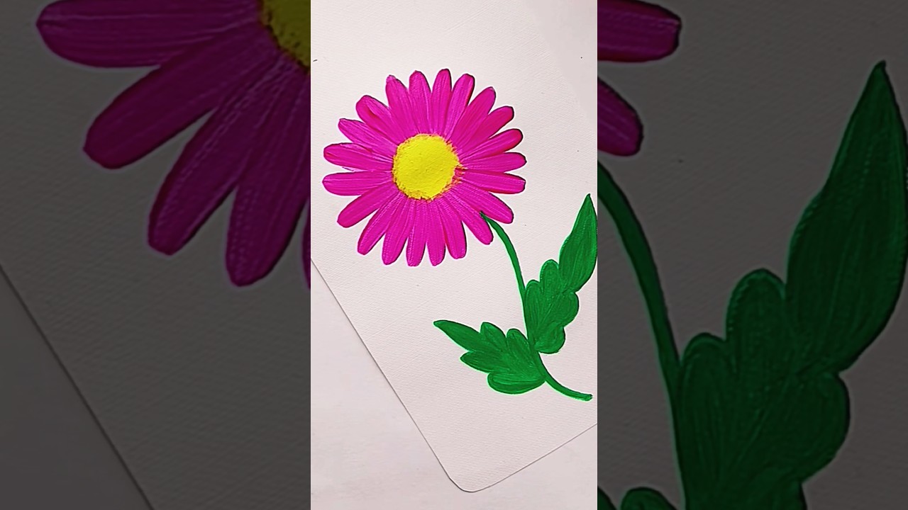 Pink Daisy Bloom💗🌸