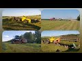 Заготовка силоса. Посев по технологии no-till