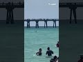 ذعر بسبب ظهور قرش قرب شاطئ سباحة في فلوريدا الأميركية