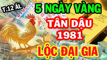 Tiết Lộ 5 Ngày Vàng, Tuổi Tân Dậu 1981 hưởng lộc trời, đổi vận giàu có, Bỗng Thành Đại Gia