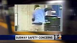 Search Is On For Suspect In Subway Shove