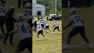 Aj Pena 47 Was Invited to practice with the Baltimore ravens. #baltimoreravens #nfl #footballshorts