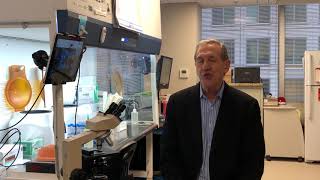 The future of IVF and PGT