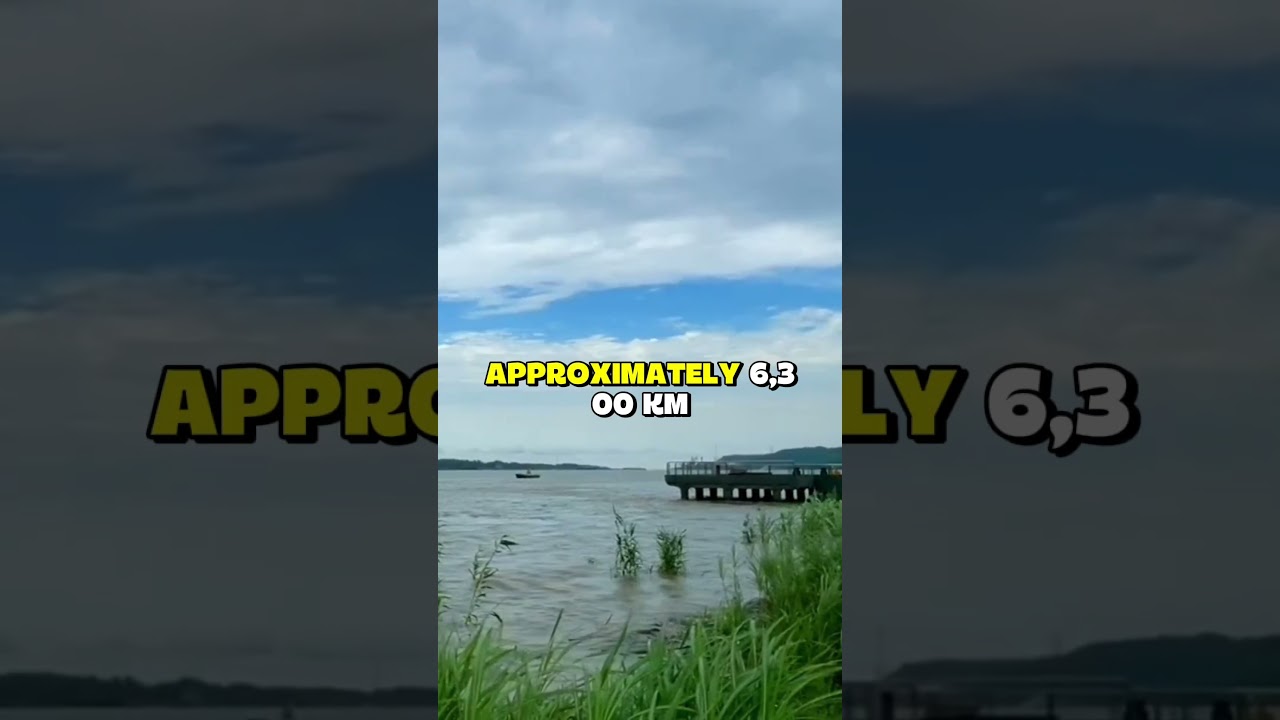 Top 5 longest Rivers in the world 🌎