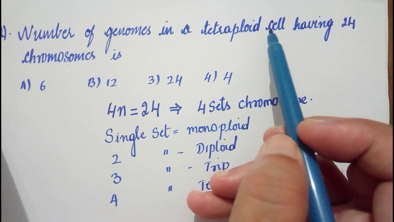 Interesting question on tetraploid