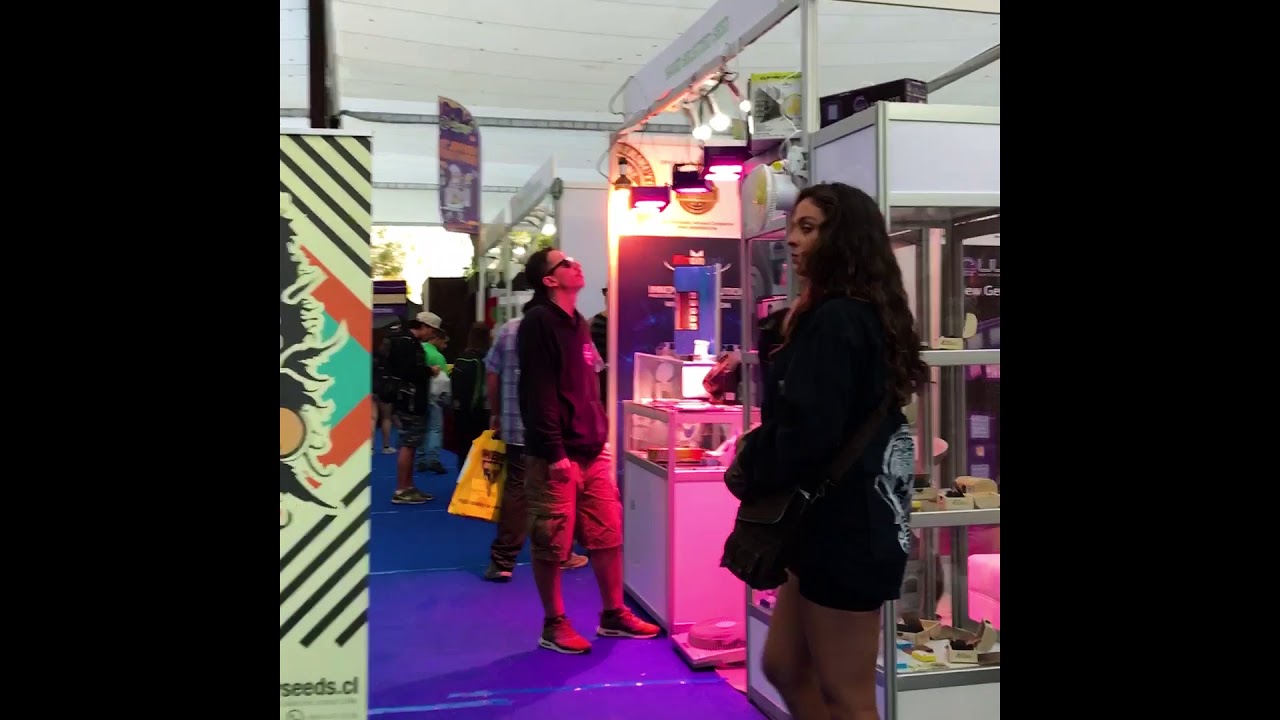 Málaganjah te lleva a: ExpoWeed Chile 2017- Málaganjah Bogotá