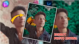 Instagram Trend Parrot Photo Editing In Picsart Lightroom Mobile Tutorial screenshot 5