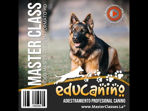 Educanino - Escuela profesional de educación para perros