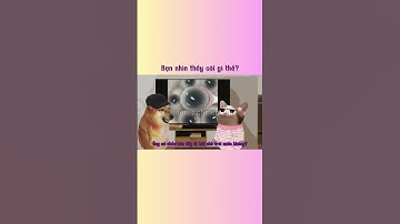 Bạn nhìn thấy cái gì thế?#funny #cheems #memes #haihuoc