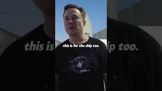Elon Musk implants an idea with a help of reporter! Profile