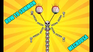 Terraria 1.4.4 Labor Of Love How To Summon Mechdusa!!