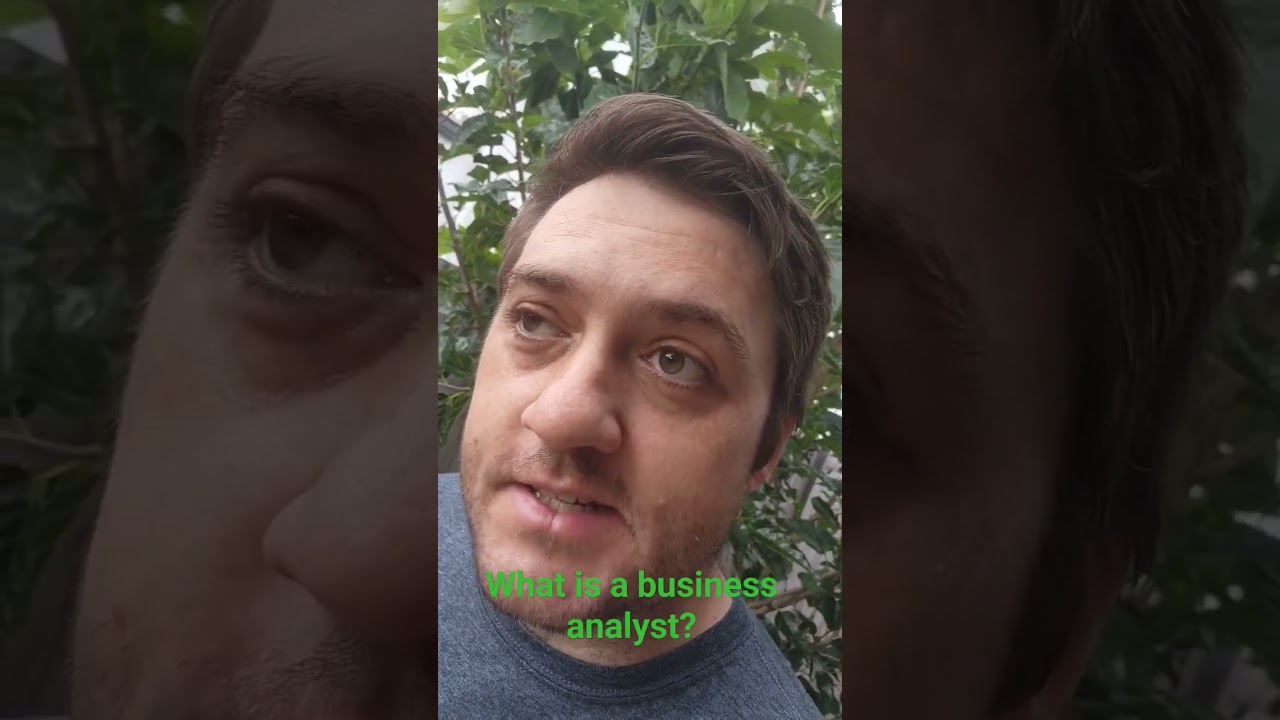 What is a business analyst? 