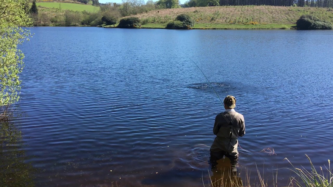 Trout Fishing at Sunny Kennick YouTube