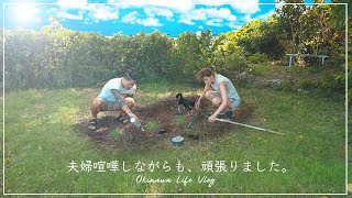築60年古民家の100坪の庭を耕してペルーの植物で埋め尽くす。｜沖縄田舎暮らしVlog