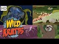 Wild Kratts 🦥🕸️ Getting into Tight Spaces! 🥚🕳️ Kids Videos
