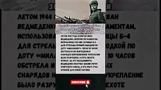 МОГ ПОЙТИ ПОД ТРИБУНАЛ , А СТАЛ ГЕРОЕМ #shorts #вов #история #ссср