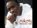 Akon - Sorry, Blame It On Me (lyrics in description) HD Mp3