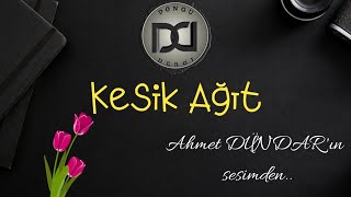 Kesik Ağıt - Şiir Resimi