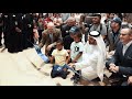 SeaWorld Yas Island, Abu Dhabi is now open!