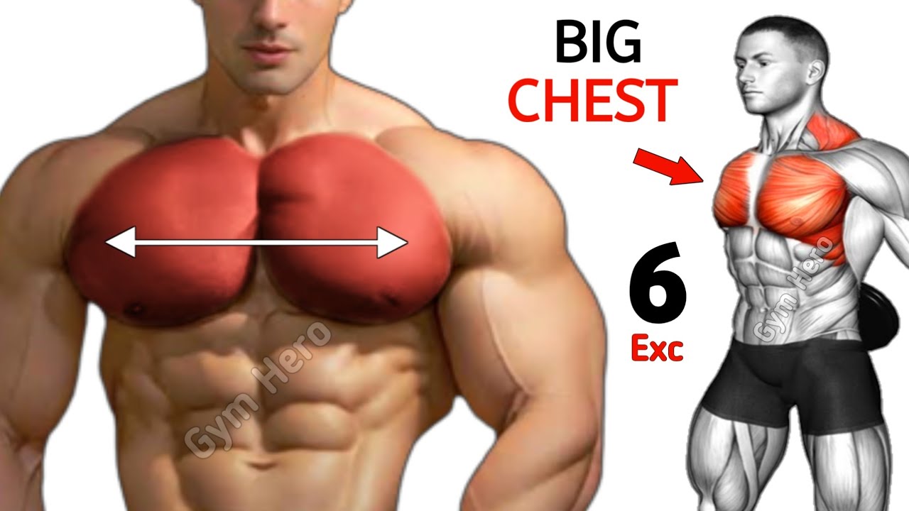 6 Best Exercises To Big Chest Chest Workout YouTube