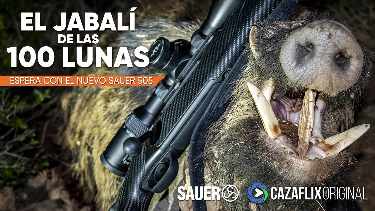 🐗 EL JABALÍ DE LAS 100 LUNAS | CAZA en espera con el nuevo SAUER 505