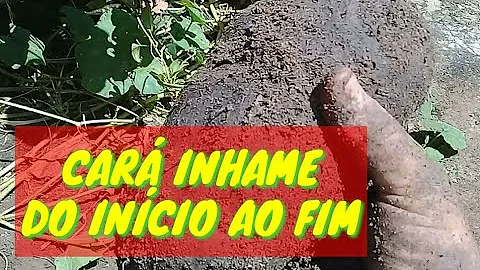 Quanto tempo leva para colher o cara?