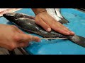 Spinare e preparare carpaccio di orata e branzino