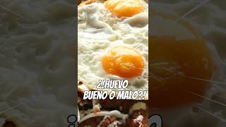HUEVO ¿Bueno o Malo? #huevo #eggs #facts #howto #mexicanbrunch #mexicanbreakfast #chilaquiles