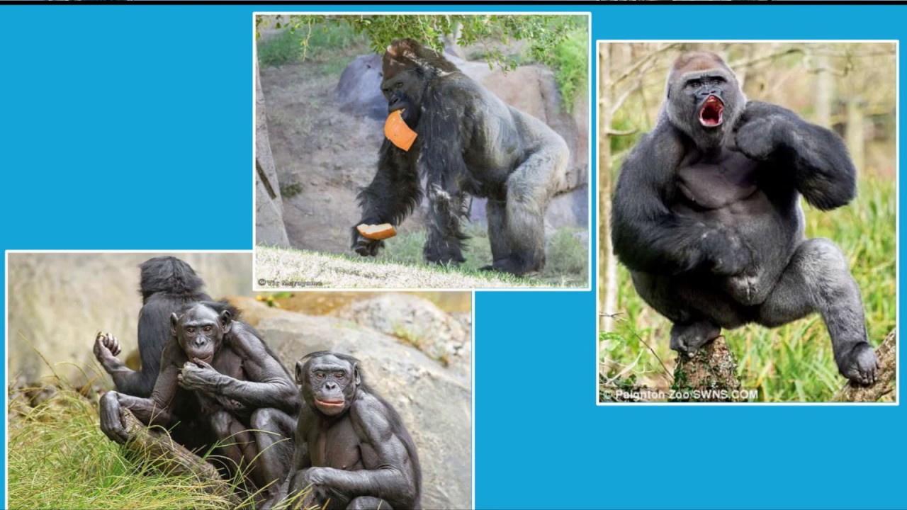 Atheist Experience 21.50 with Jen Peeples and Clare Wuellner