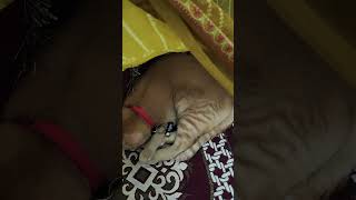 Mau Moi Ico Rest Mood Mai