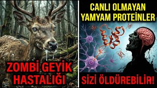 Prionlar Canlı Olmayan Ama Sizi Öldüren Yamyam Proteinler Zombi Geyik Hastalığı