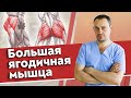 Массаж обучение | Большая ягодичная мышца