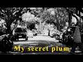 My secret plum
