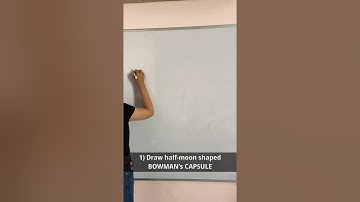 How to draw #nephron​ diagram in easy steps |10th | Biology |Science | CBSE syllabus|NCERT class 10