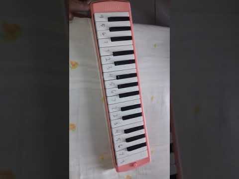 Not pianika robbi kholaq