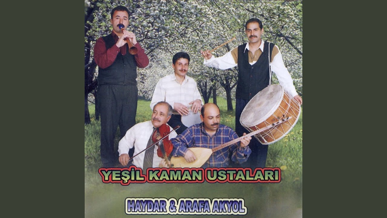 Ham Meyvayı Kopardılar