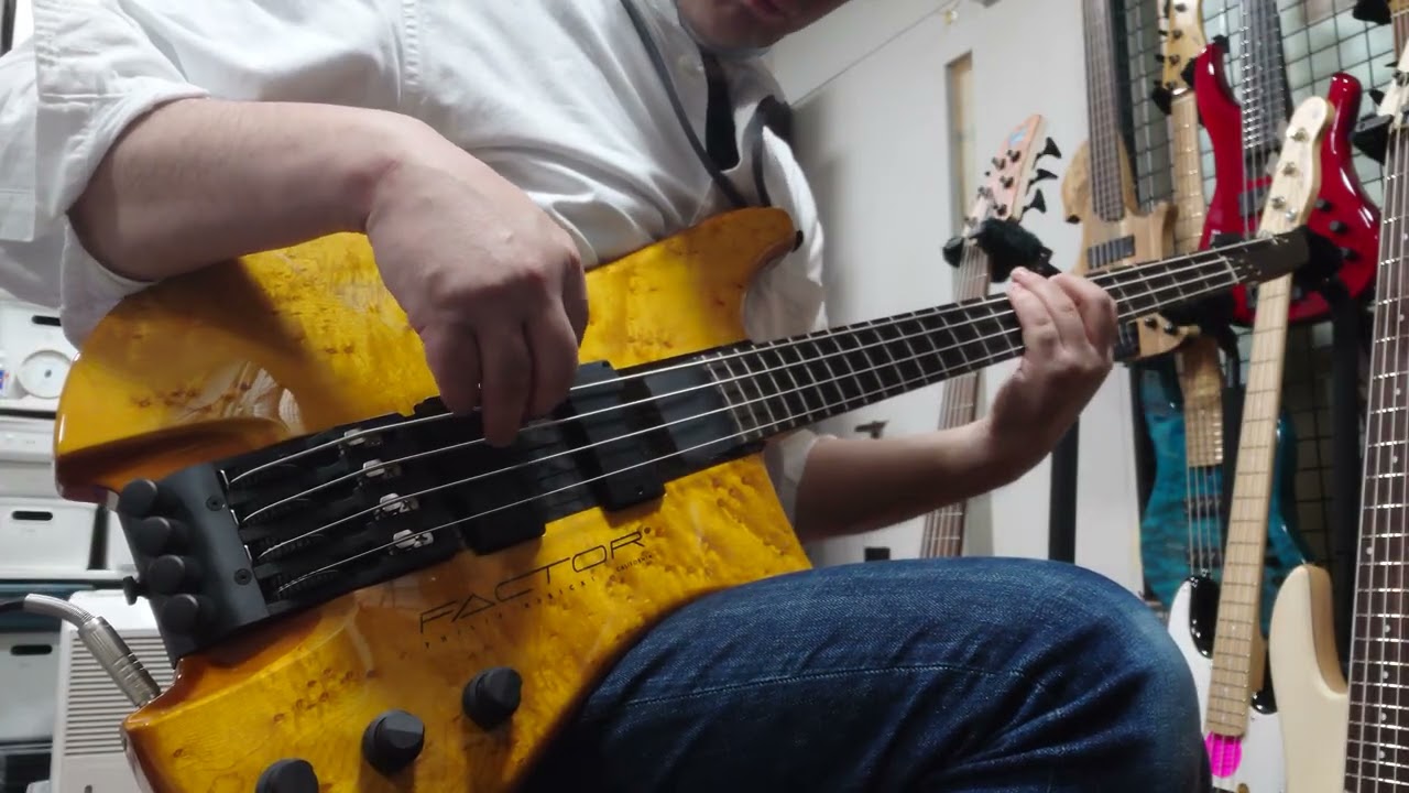 ベース専門店 タイズストア