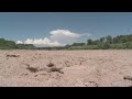 Rio Grande Once Again Goes Dry In Albuquerque Rio Grande Once Again Goes Dry In Albuquerque