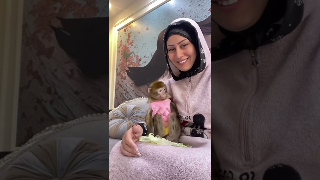 ام دونا عندها عزومه