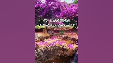 سورة القيامة من الآية (٣٦) إلي الآية (٤٠) بصوت القارئ إسلام صبحي