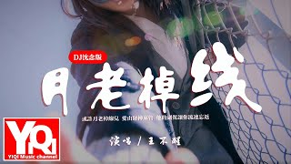 王不醒 - 月老掉線（DJ沈念版）『或許月老掉線兒愛由財神來管，他的副駕讓你流連忘返。』【動態歌詞/Vietsub/Pinyin Lyrics】