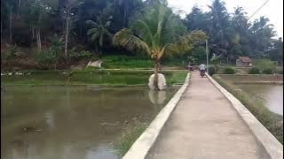 MAPAY JALAN PILEMBURAN DI DAERAH CIANJUR || Warung Nenggang || Sukabagja || Cicondong