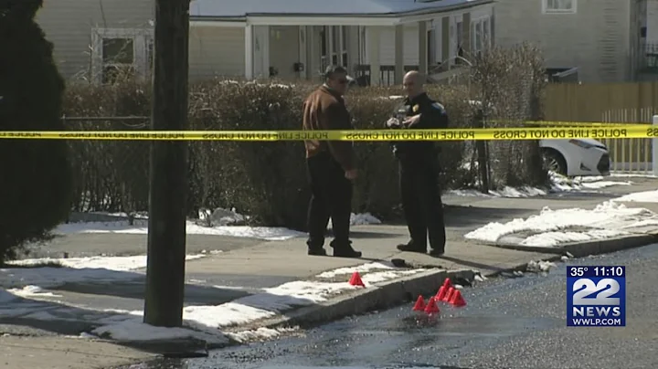 Victim killed in Springfield shooting identified, ...