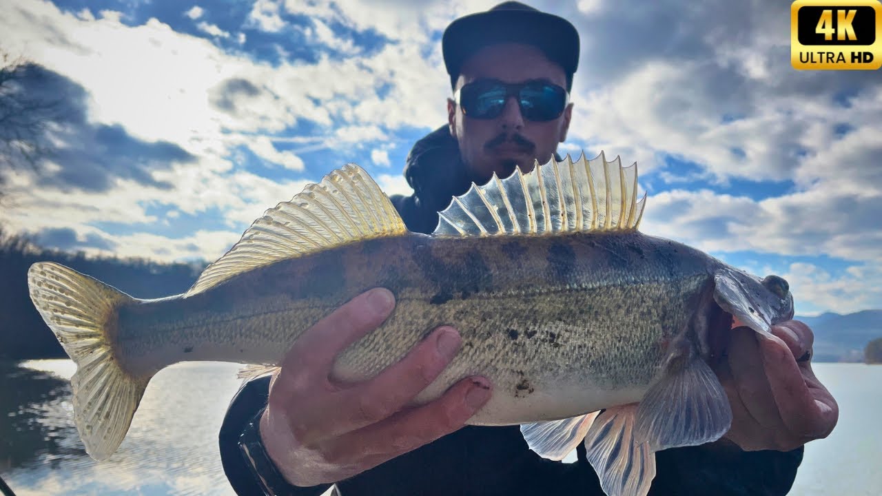 ȘALĂU sălbatic de REVELION |4K|.