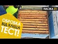 🐝 Тестовий пролив! Обробка бджіл від кліща Varroa (Вароа) восени | Медова ферма "Пасіка 21" | 2020