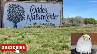 Ogden Nature Center, OGDEN, UT - Walking Tour - 2024