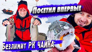 Форелевый безлимит | Как поймать рыбу на новом водоеме | Денис Вихров