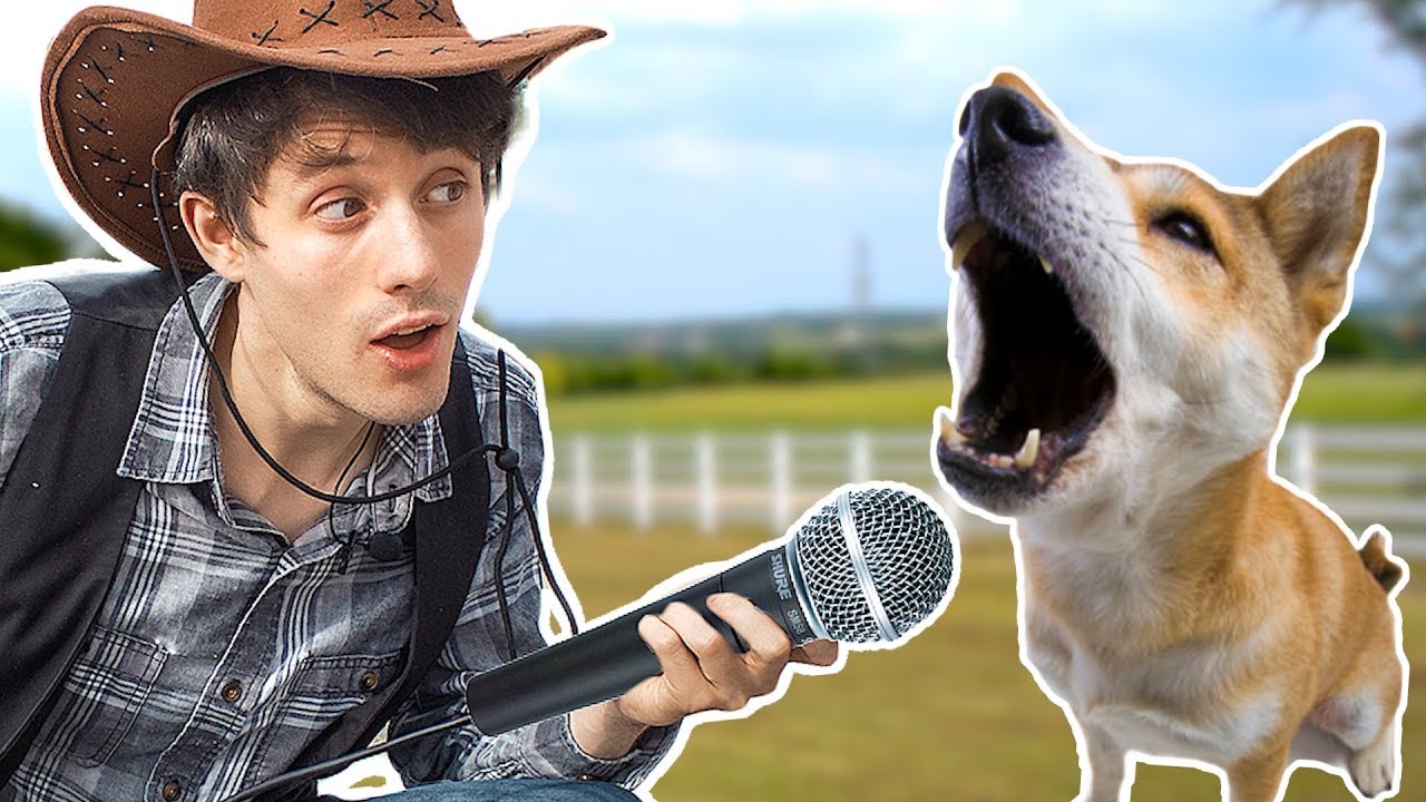 Remaking OLD TOWN ROAD With 100 Dogs.