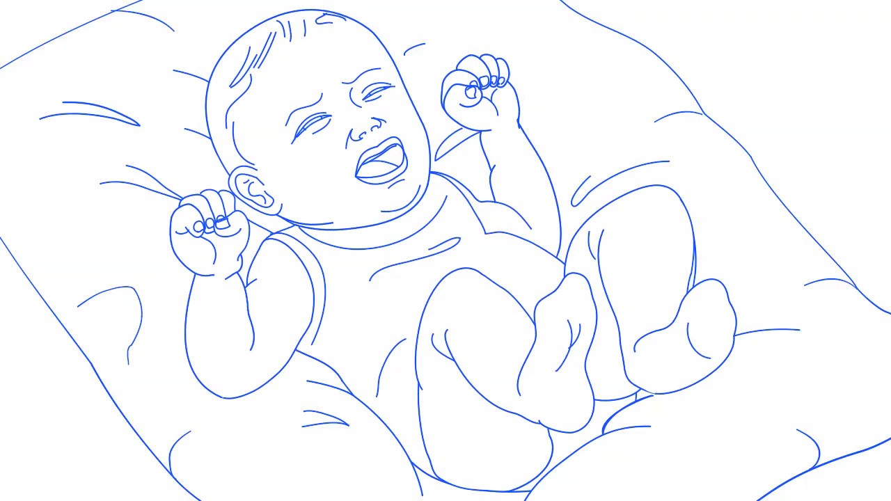 VERFORA mouche bébé