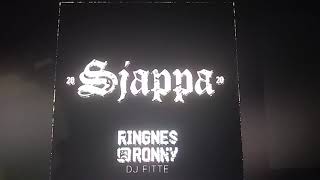 Russedress 2020 - Sjappa Grenlandrussen 2020 RINGNES RONNY on Spotify HD